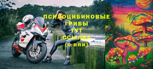 не бодяженный Богородицк